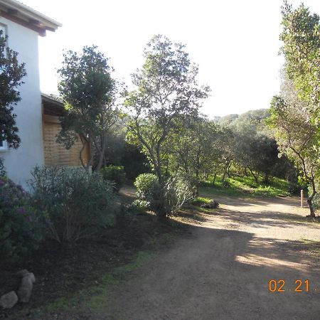 Chambres La Falcia - Figari - Corse Du Sud Exteriör bild