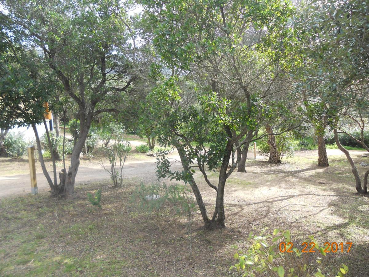 Chambres La Falcia - Figari - Corse Du Sud Exteriör bild
